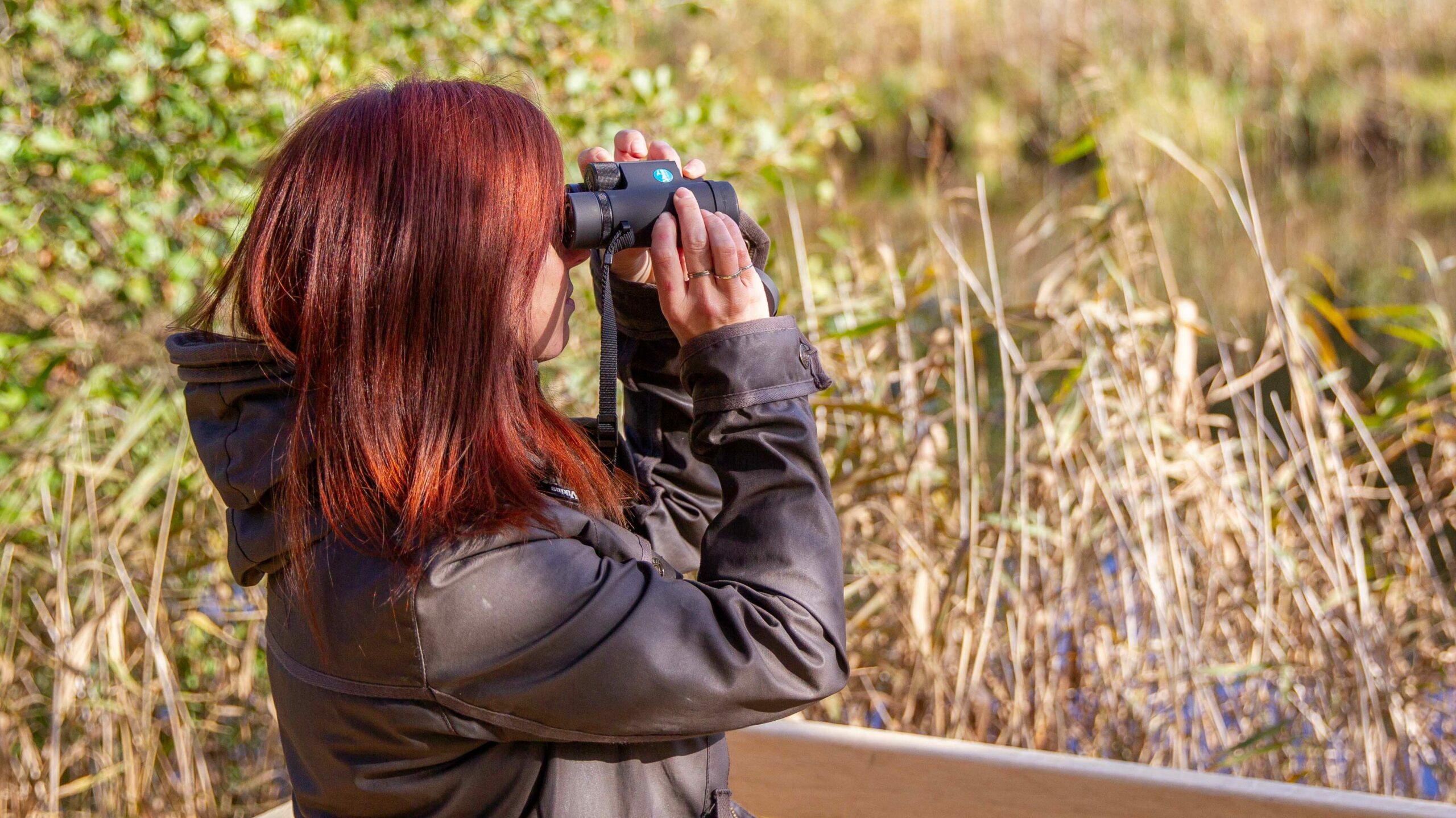 Viking Binoculars Buyers Guide
