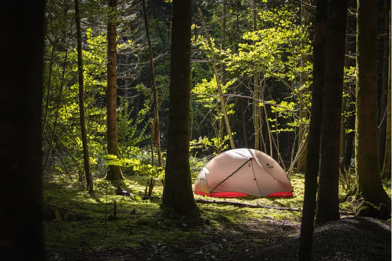 Camping & Backpacking