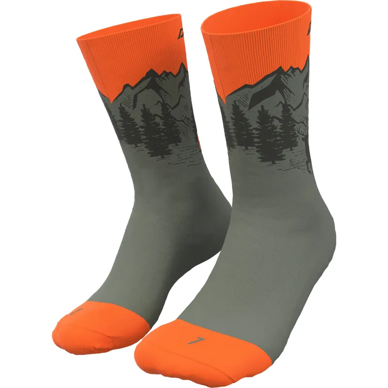 Dynafit Stay Fast Socks in Sage