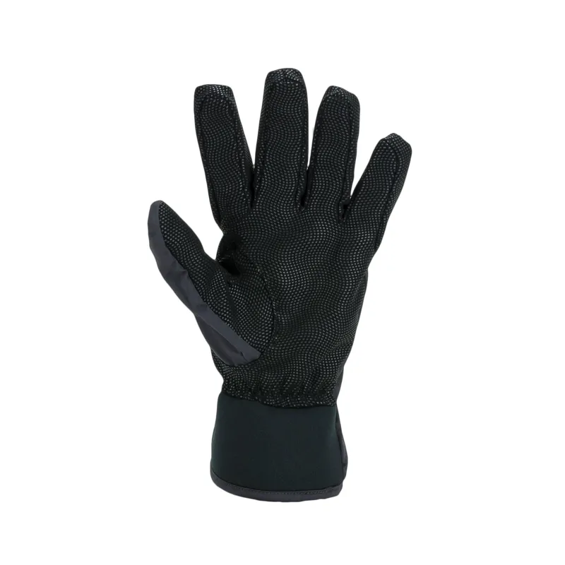 Sealskinz Waterproof Lightweight Glove Unisex in Black-1