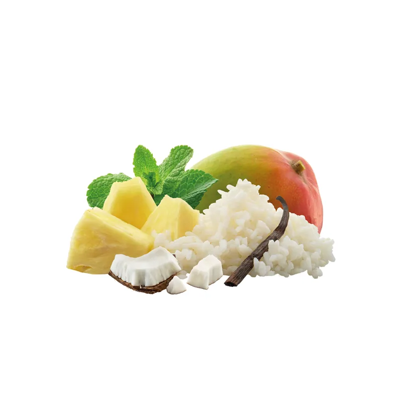 Adventure Food in Tropical Rice Dessert-1