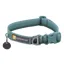 Ruffwear Front Range Dog Collar in River Rock Green