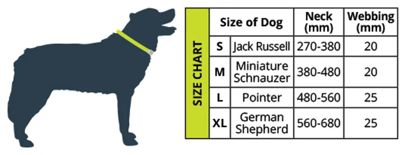 Mountain Paws Dog Collar in black-3