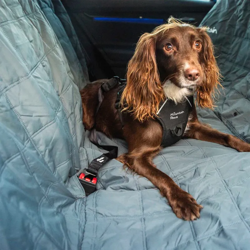 Mountain Paws Dog Seat Belt in Black-1