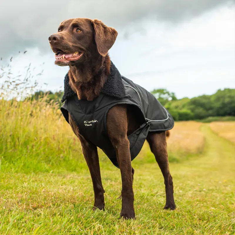 Mountain Paws Fleece Lined Dog Raincoat-3