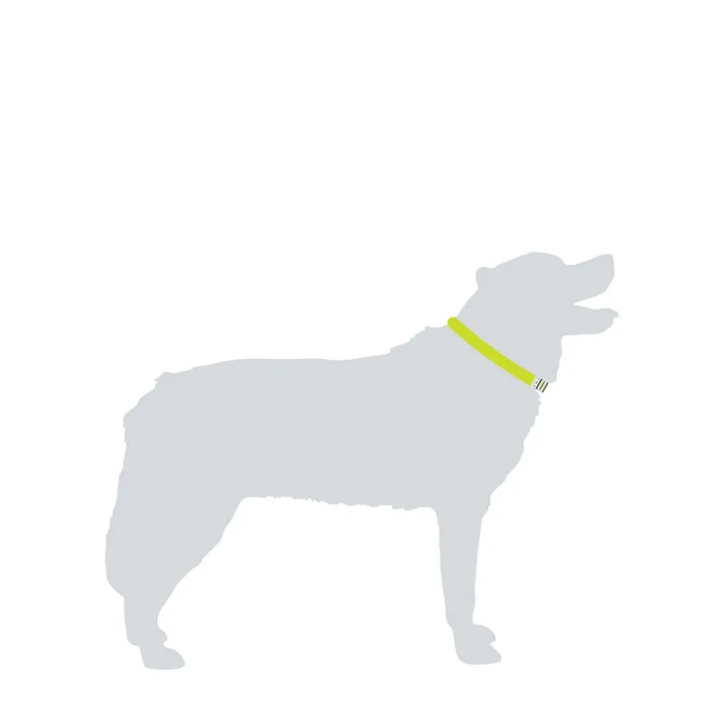 Mountain Paws Dog Collar in black-1