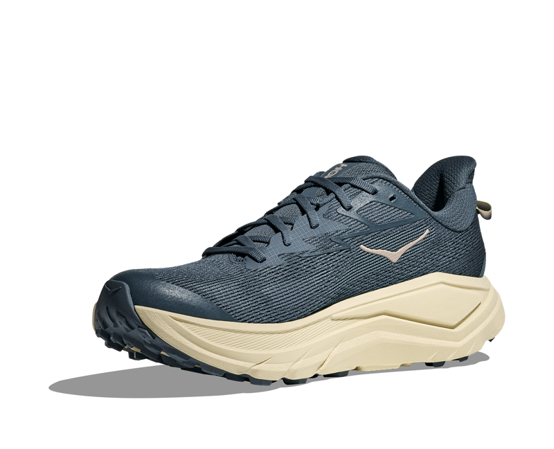 Hoka Challenger 8 Trail Running Shoes Mens in Faded Navy/Pampass Grass-4