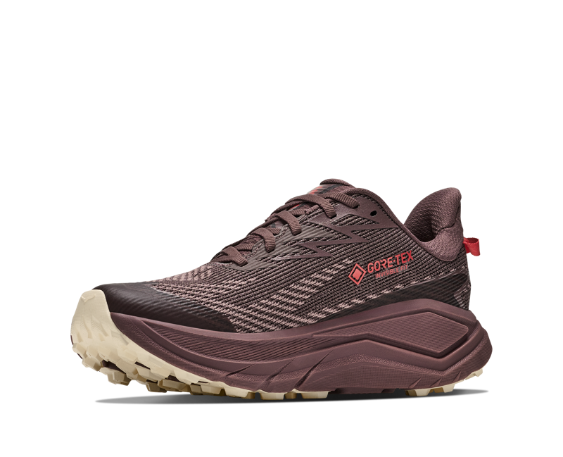 Hoka Challenger 8 Gore-Tex Womens in Smoky Quartz/Alabaster-5