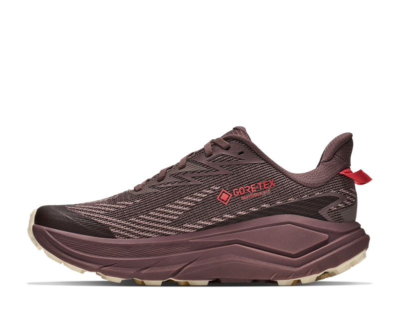 Hoka Challenger 8 Gore-Tex Womens in Smoky Quartz/Alabaster-4