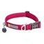 Ruffwear Front Range Dog Collar Hibiscus Pink - 20 to 26 Inch