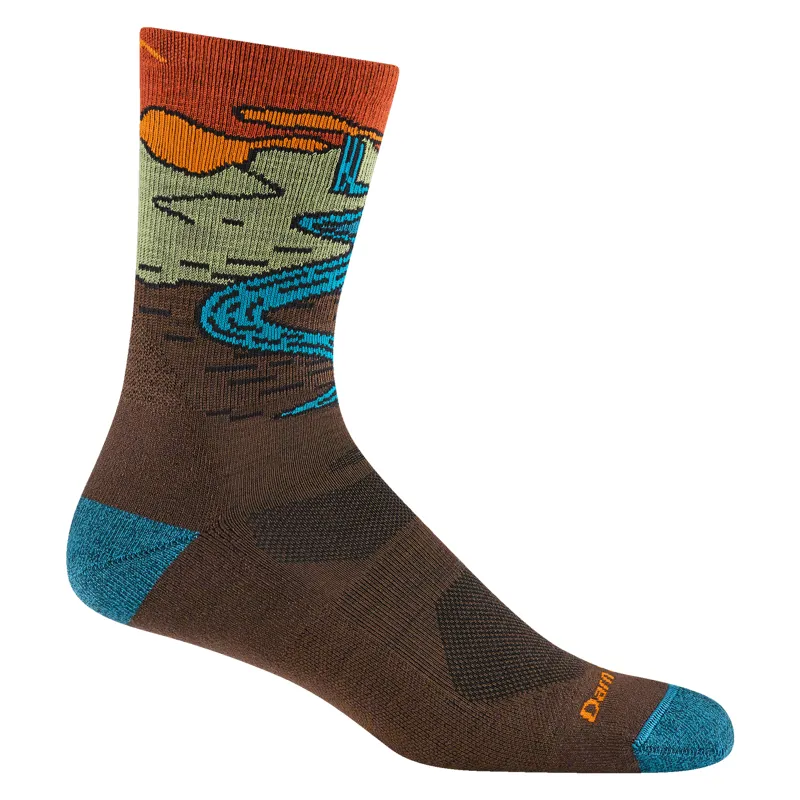 Darn Tough Chasing Waterfalls Micro Crew Cushion Mens in Earth