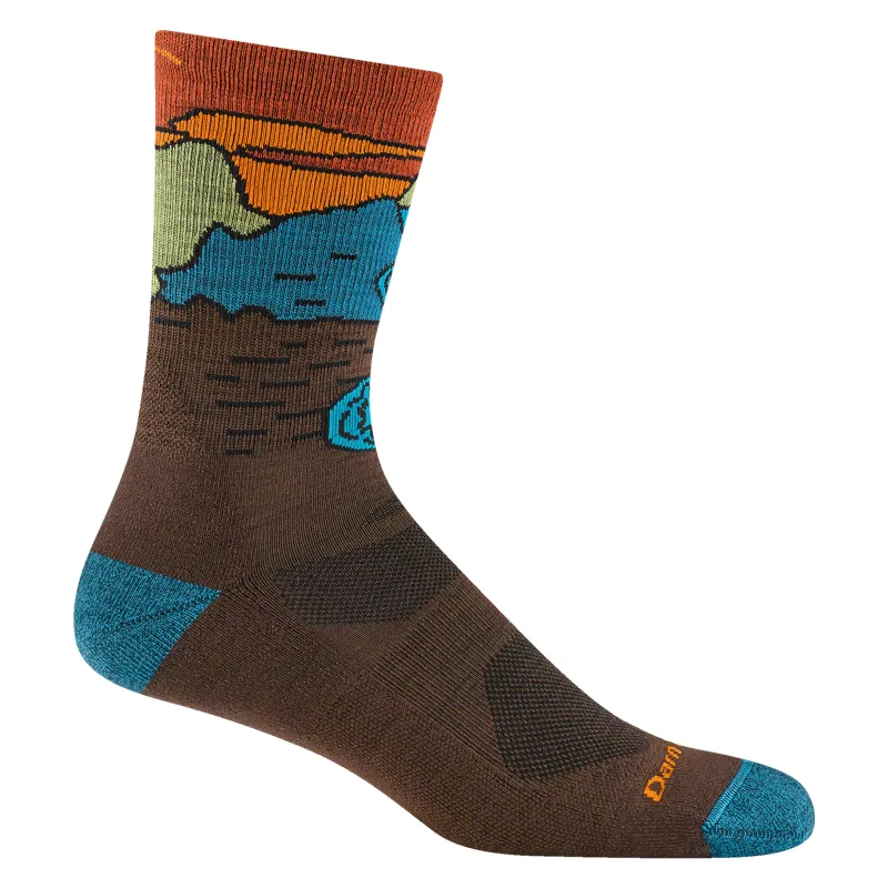 Darn Tough Chasing Waterfalls Micro Crew Cushion Mens in Earth-1