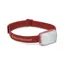 Black Diamond Stella-R Headlamp in Burnt Sienna