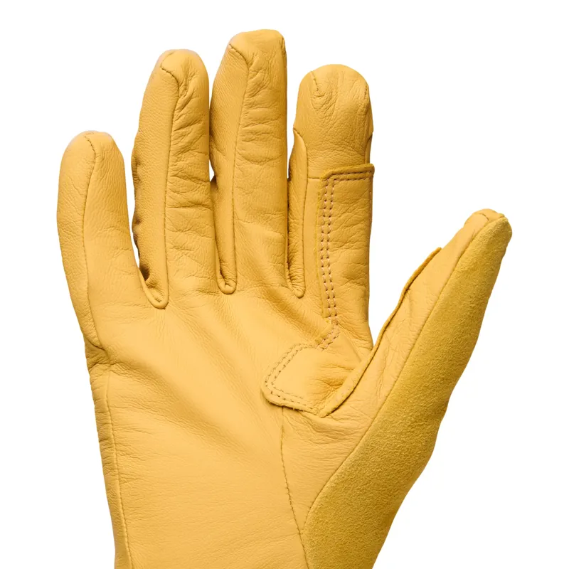 Black Diamond Tour LT Gloves in Beeswax/Black-2