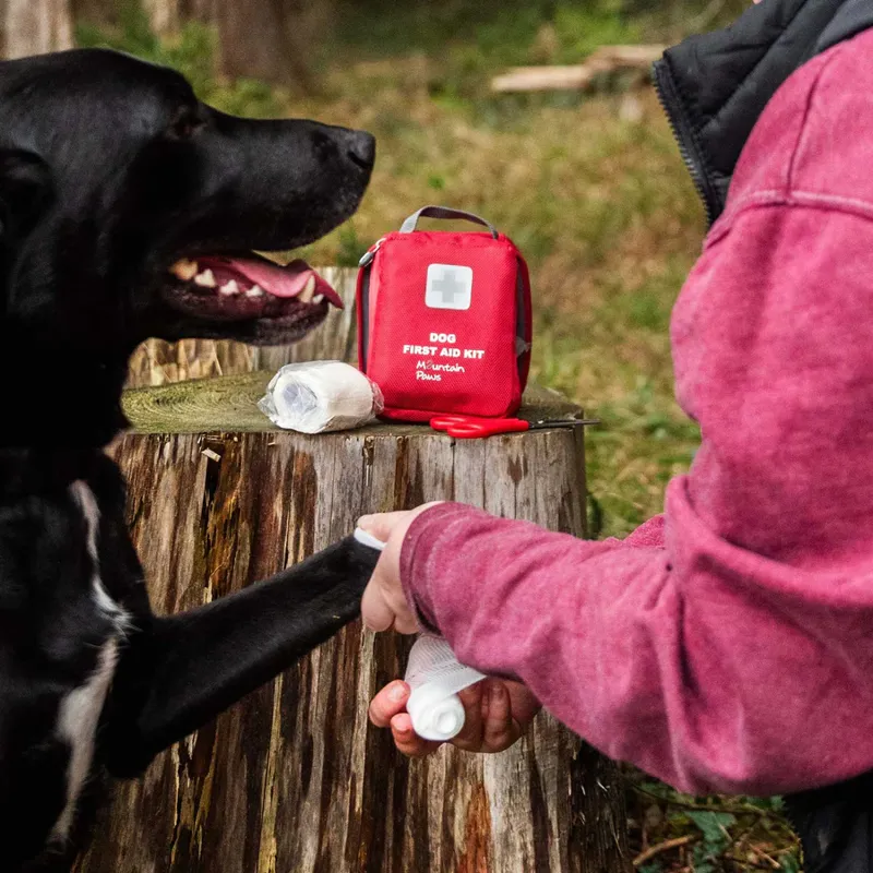 Mountain Paws Dog First Aid Kit-5