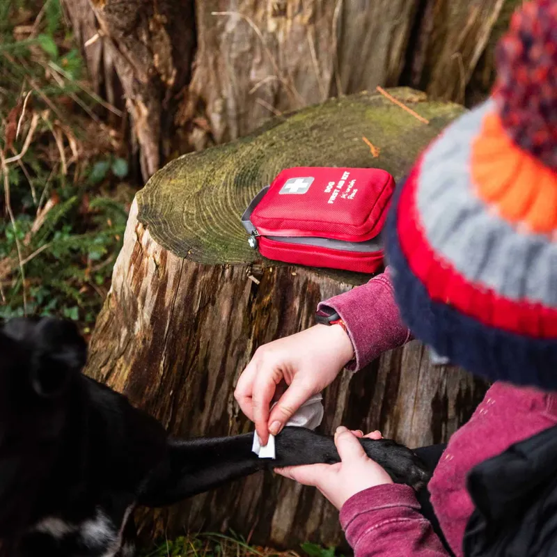 Mountain Paws Dog First Aid Kit-7