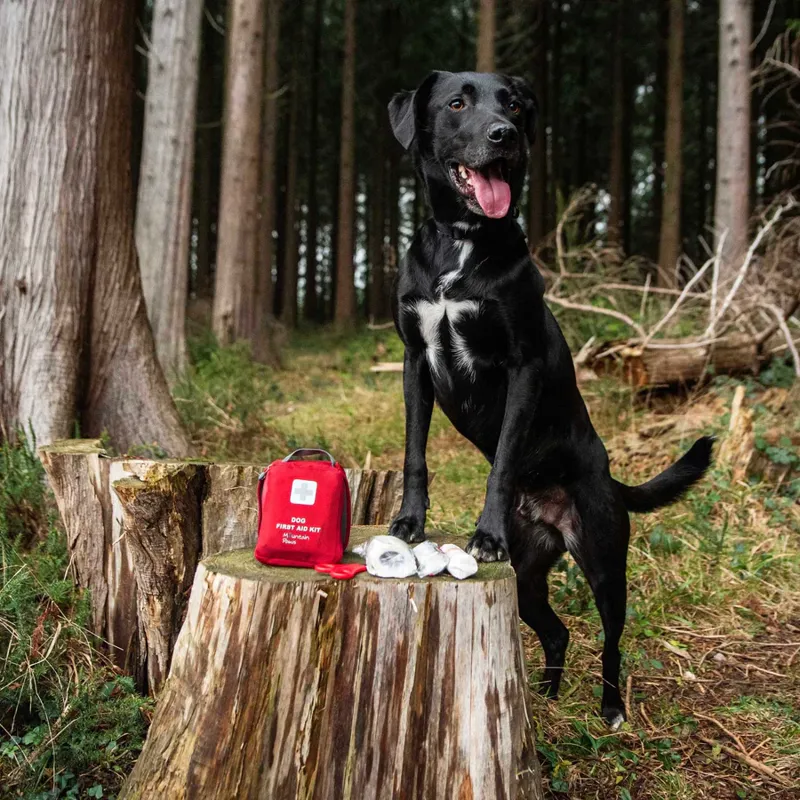 Mountain Paws Dog First Aid Kit-8