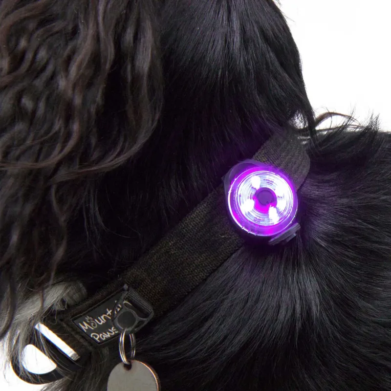 Mountain Paws Dog Safety Light 2 Pack-2
