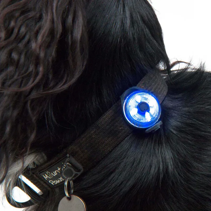 Mountain Paws Dog Safety Light-3
