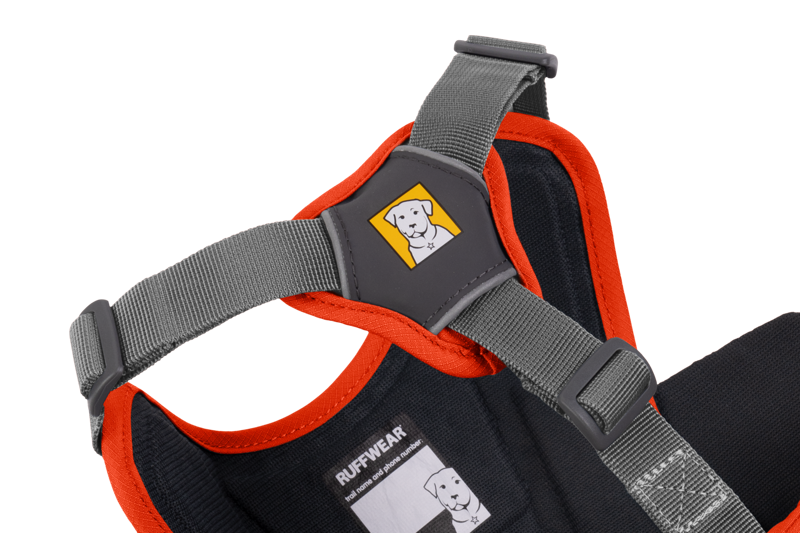 Ruffwear Web Master Harness in Blaze Orange-3