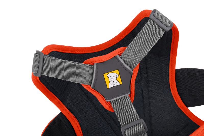 Ruffwear Web Master Harness in Blaze Orange-4
