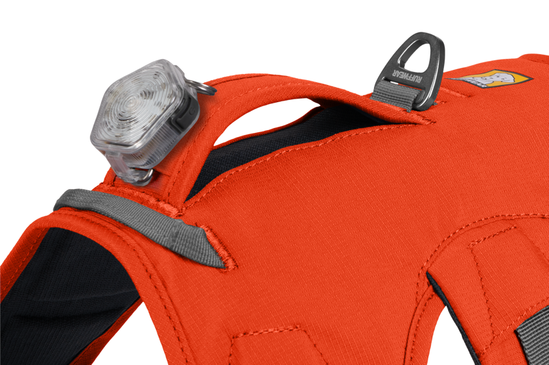 Ruffwear Web Master Harness in Blaze Orange-5