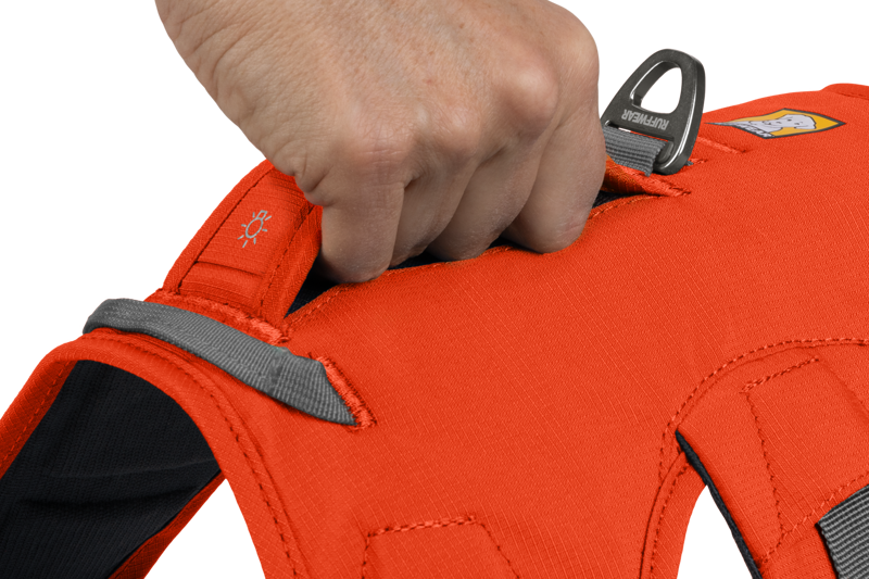 Ruffwear Web Master Harness in Blaze Orange-6