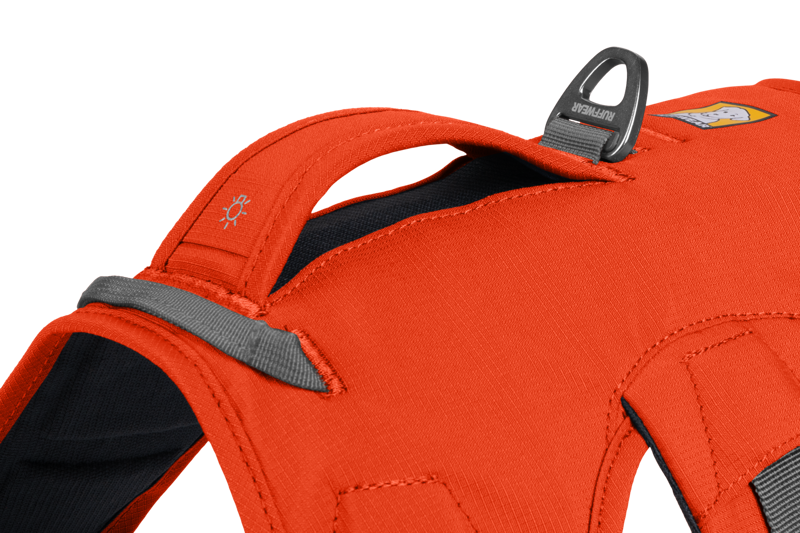Ruffwear Web Master Harness in Blaze Orange-7