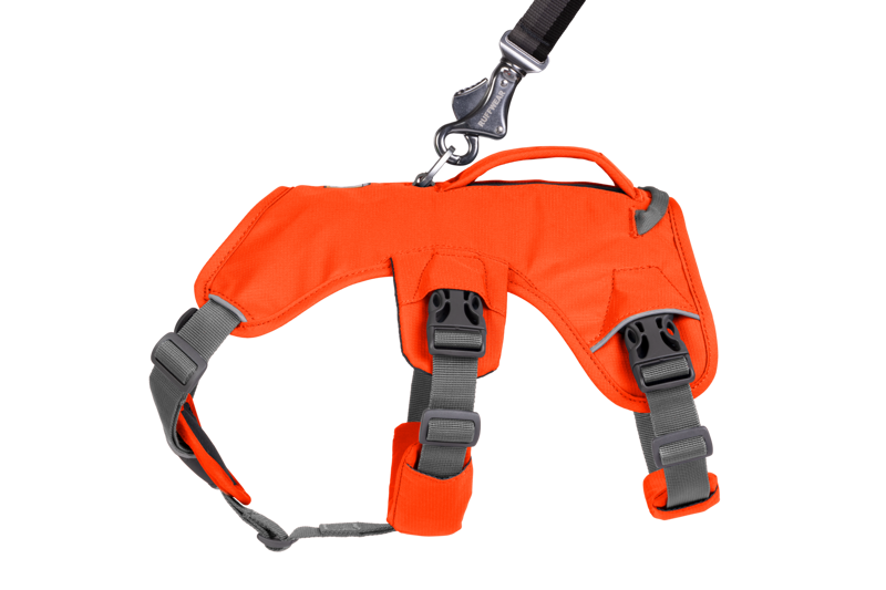 Ruffwear Web Master Harness in Blaze Orange-9