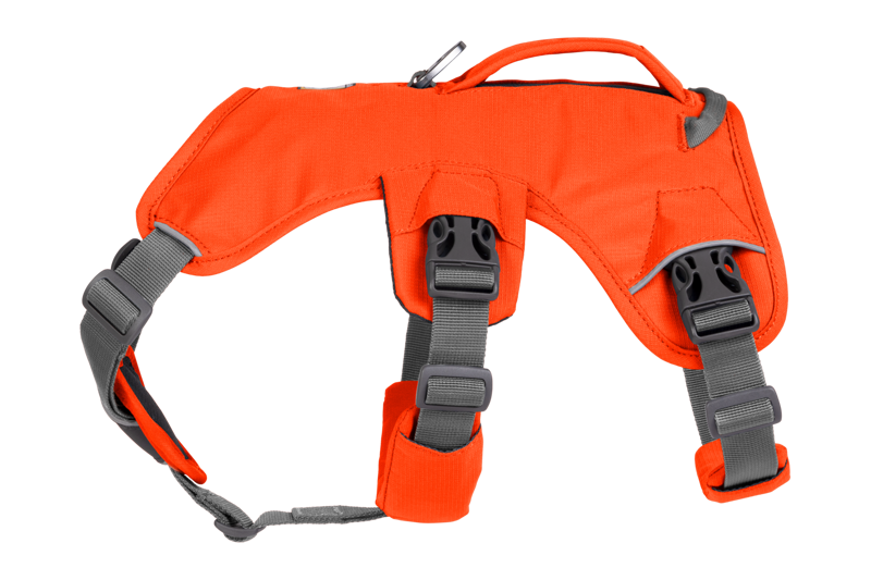 Ruffwear Web Master Harness in Blaze Orange-1