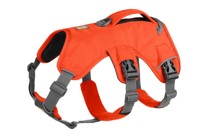 Ruffwear Web Master Harness in Blaze Orange