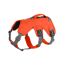 Ruffwear Web Master Harness in Blaze Orange