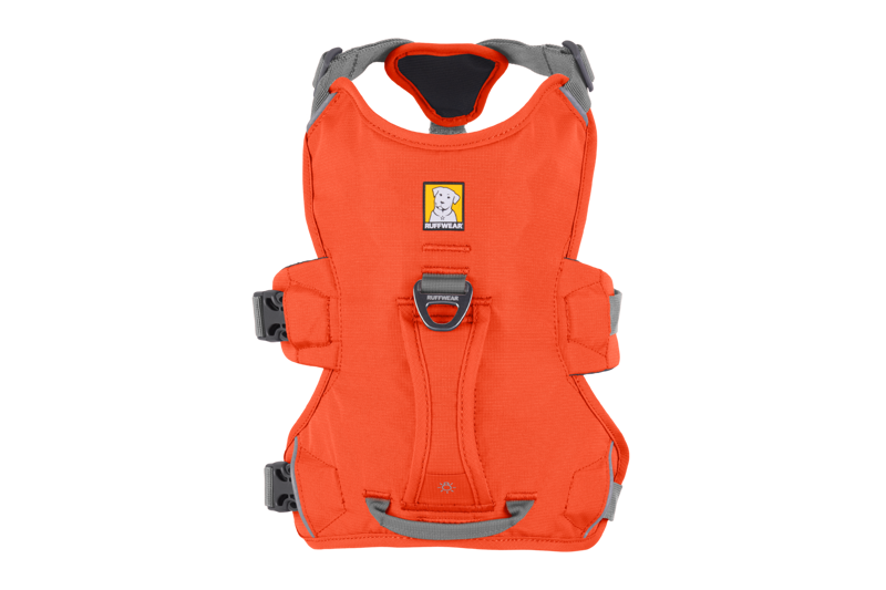 Ruffwear Web Master Harness in Blaze Orange-11