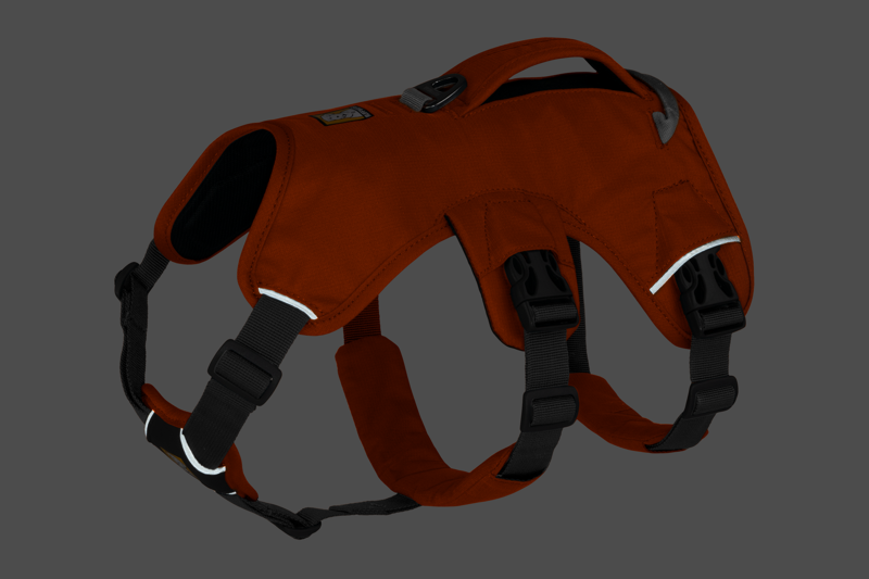 Ruffwear Web Master Harness in Blaze Orange-10