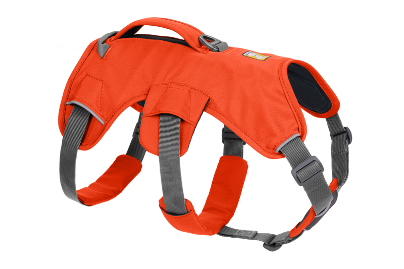 Ruffwear Web Master Harness in Blaze Orange-2
