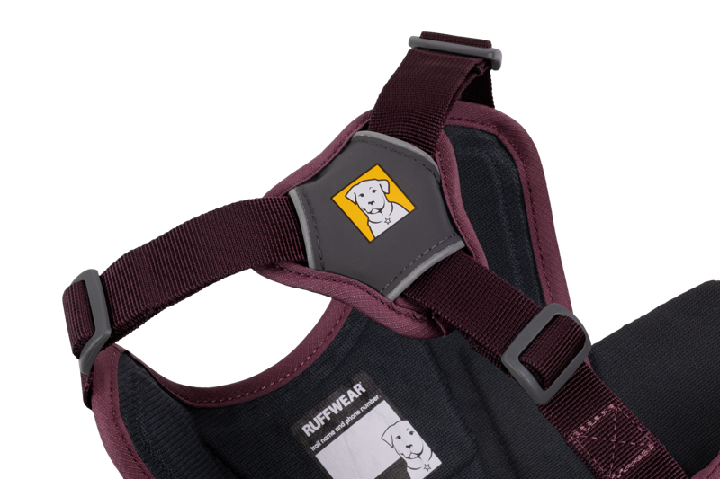 Ruffwear Web Master Harness in Purple Rain-7