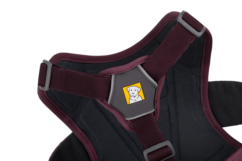 Ruffwear Web Master Harness in Purple Rain-8