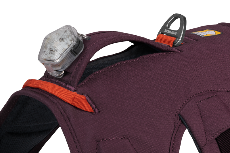 Ruffwear Web Master Harness in Purple Rain-9