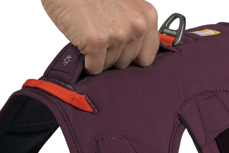 Ruffwear Web Master Harness in Purple Rain-3