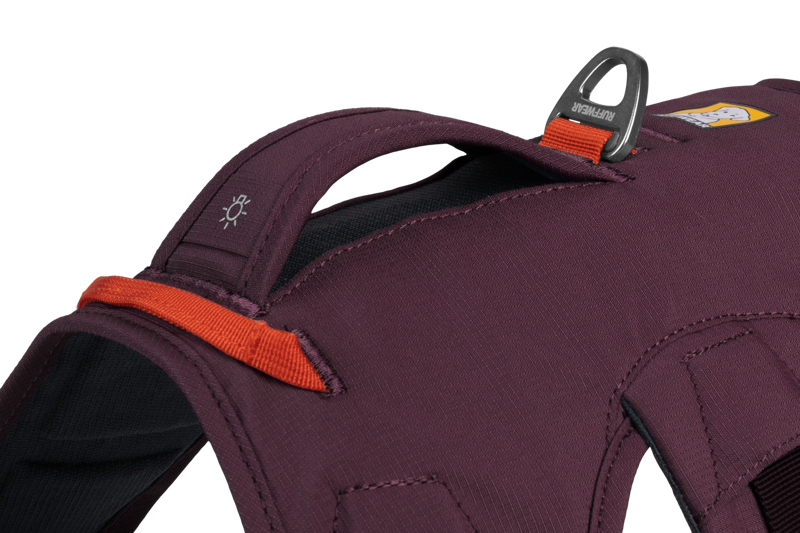 Ruffwear Web Master Harness in Purple Rain-4