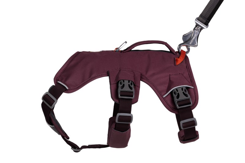 Ruffwear Web Master Harness in Purple Rain-5
