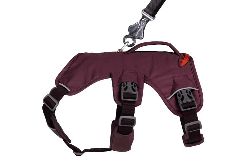 Ruffwear Web Master Harness in Purple Rain-6