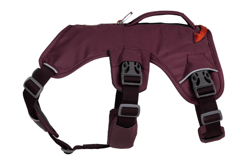 Ruffwear Web Master Harness in Purple Rain-1