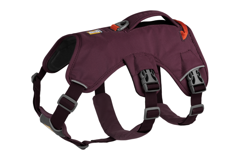 Ruffwear Web Master Harness in Purple Rain