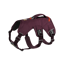 Ruffwear Web Master Harness in Purple Rain