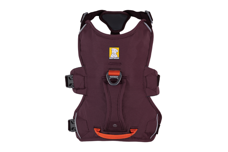 Ruffwear Web Master Harness in Purple Rain-10