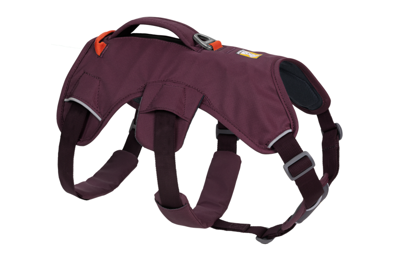 Ruffwear Web Master Harness in Purple Rain-2