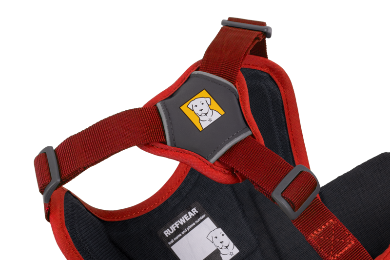 Ruffwear Web Master Harness in Red Sumac-3