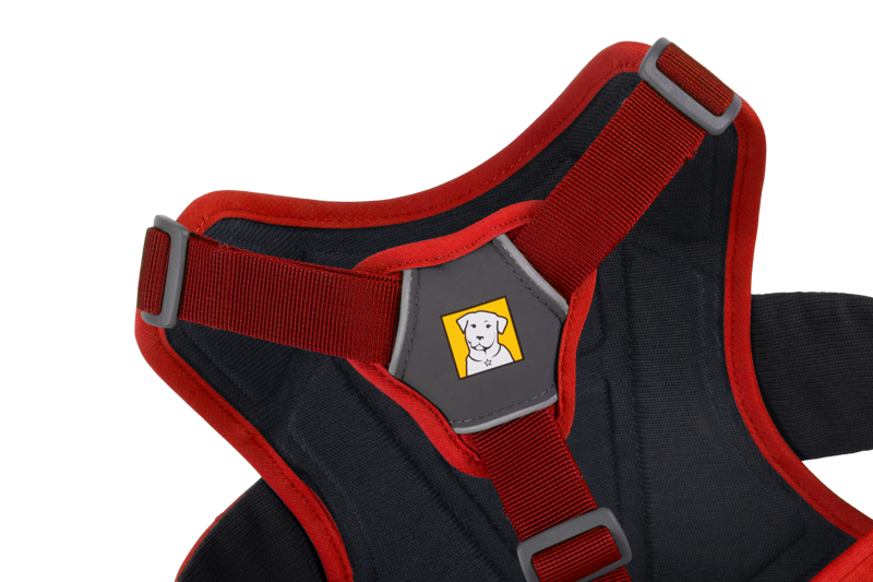 Ruffwear Web Master Harness in Red Sumac-4