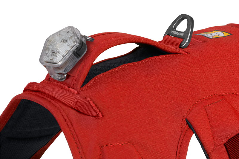 Ruffwear Web Master Harness in Red Sumac-5